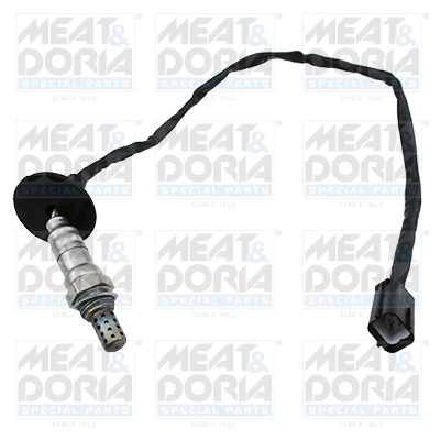 Oxygen Sensor